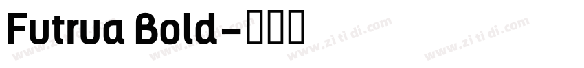 Futrua Bold字体转换